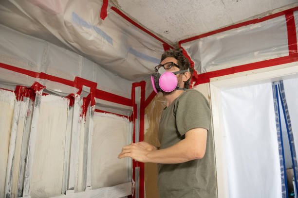 Best Environmental Consulting for Mold Prevention  in USA